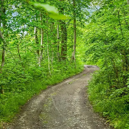 Sandesmose * Broager